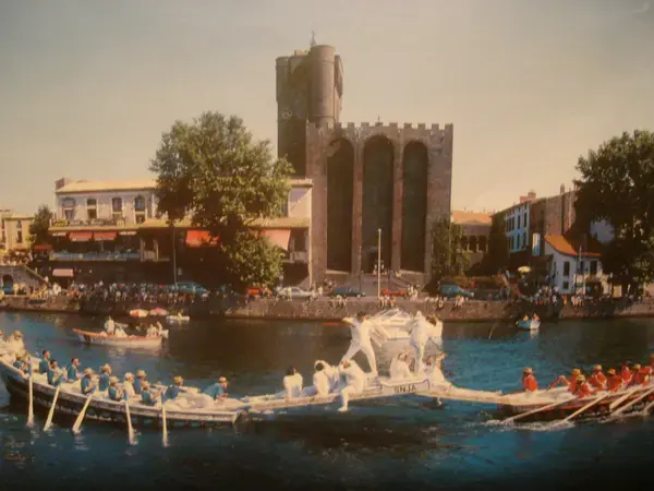 Monte Escalier Performance Installateur monte escalier Agde