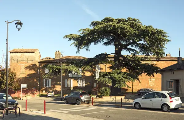 Monte Escalier Performance Installateur monte escalier Aussonne