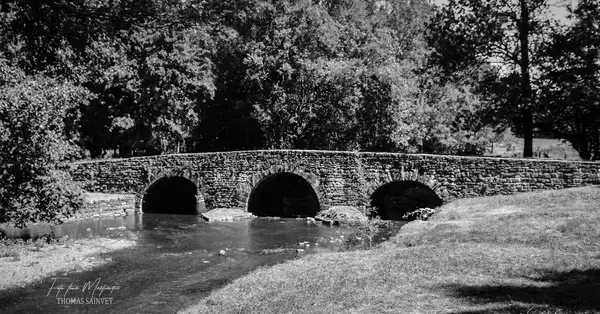 Monte Escalier Performance Installateur monte escalier Azay-le-Brûlé