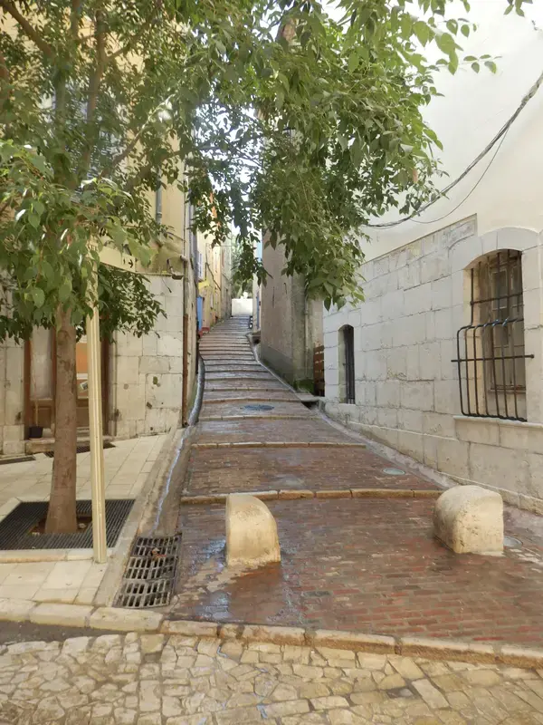 Monte Escalier Performance Installateur monte escalier Brignoles