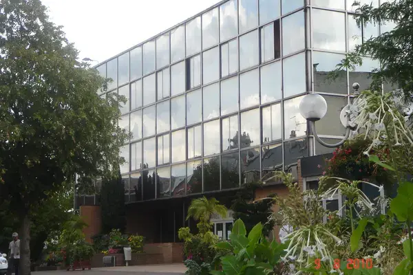 Monte Escalier Performance Installateur monte escalier Denain