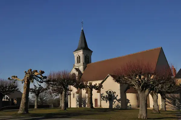 Monte Escalier Performance Installateur monte escalier Fougerolles