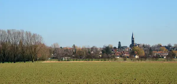 Monte Escalier Performance Installateur monte escalier Halluin