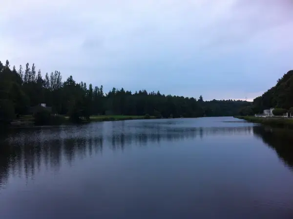 Monte Escalier Performance Installateur monte escalier Inzinzac-Lochrist