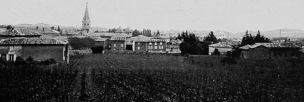 Monte Escalier Performance Installateur monte escalier Limas