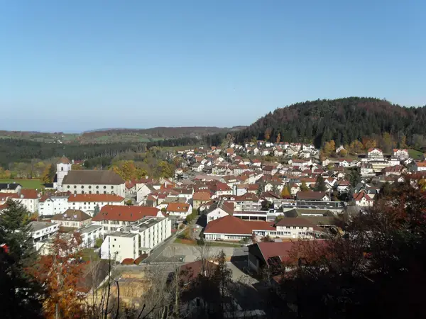 Monte Escalier Performance Installateur monte escalier Maîche