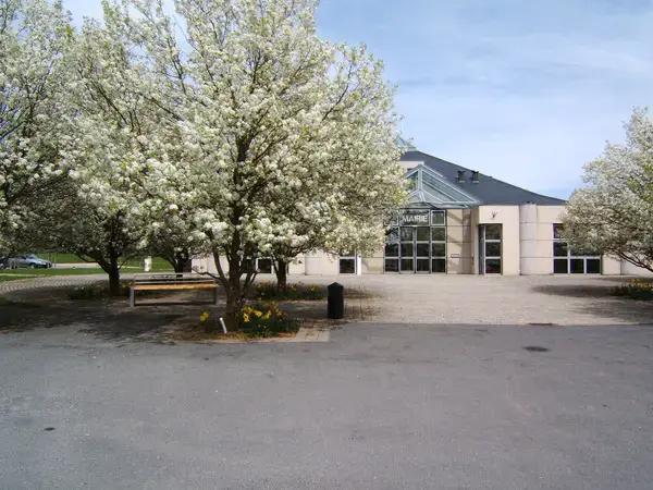 Monte Escalier Performance Installateur monte escalier Olemps