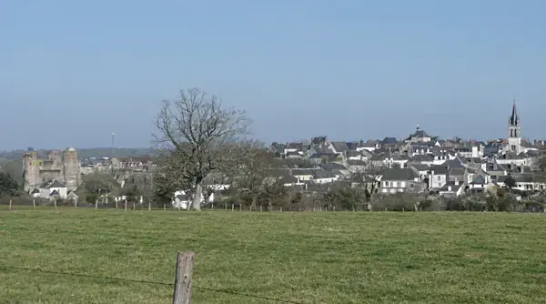 Monte Escalier Performance Installateur monte escalier Ombrée d'Anjou