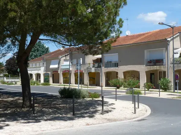 Monte Escalier Performance Installateur monte escalier Pineuilh