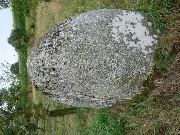 Monte Escalier Performance Installateur monte escalier Plaintel
