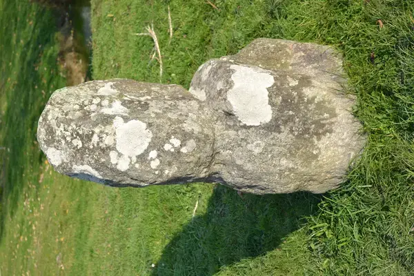 Monte Escalier Performance Installateur monte escalier Prinquiau