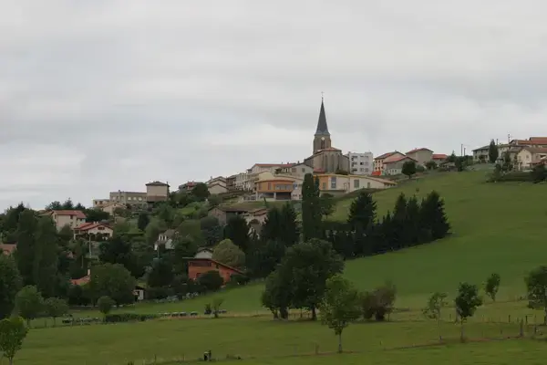 Monte Escalier Performance Installateur monte escalier Saint-Christo-en-Jarez