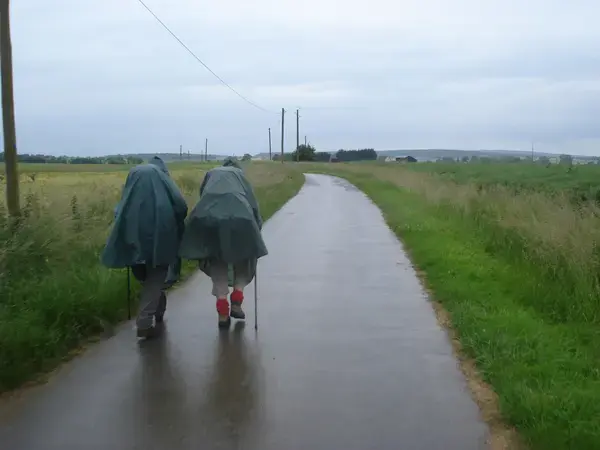 Monte Escalier Performance Installateur monte escalier Saint-Martin-des-Champs