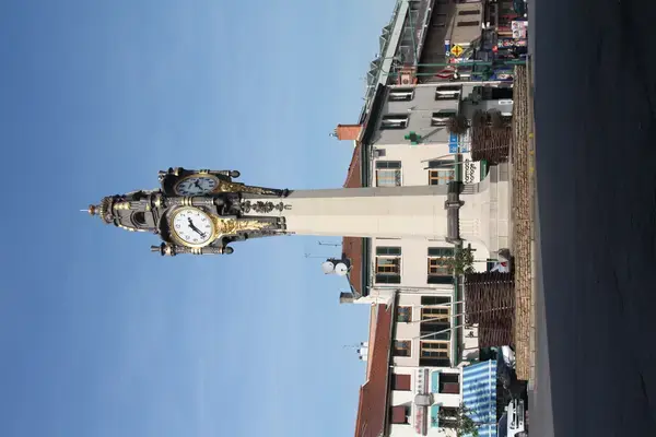 Monte Escalier Performance Installateur monte escalier Tassin-la-Demi-Lune